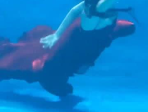 抓美人鱼小姐姐,探寻神秘海洋的美丽传说